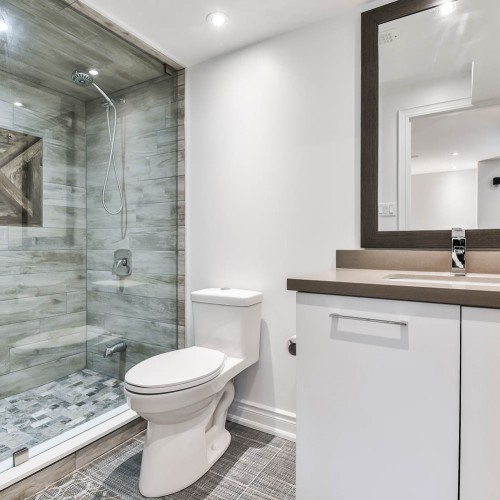 Basement Bathroom